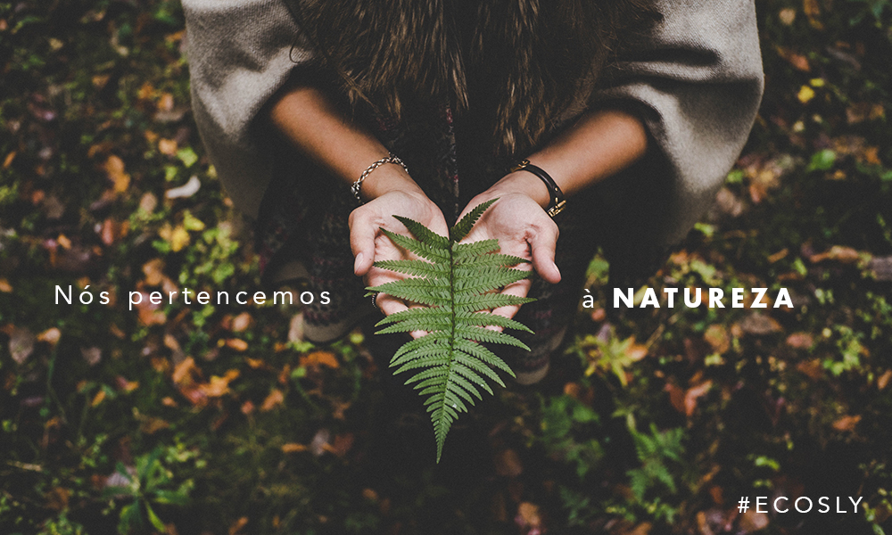 Meio Ambiente – Você faz parte desse todo!